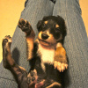LZ waving
